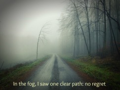 foggy path